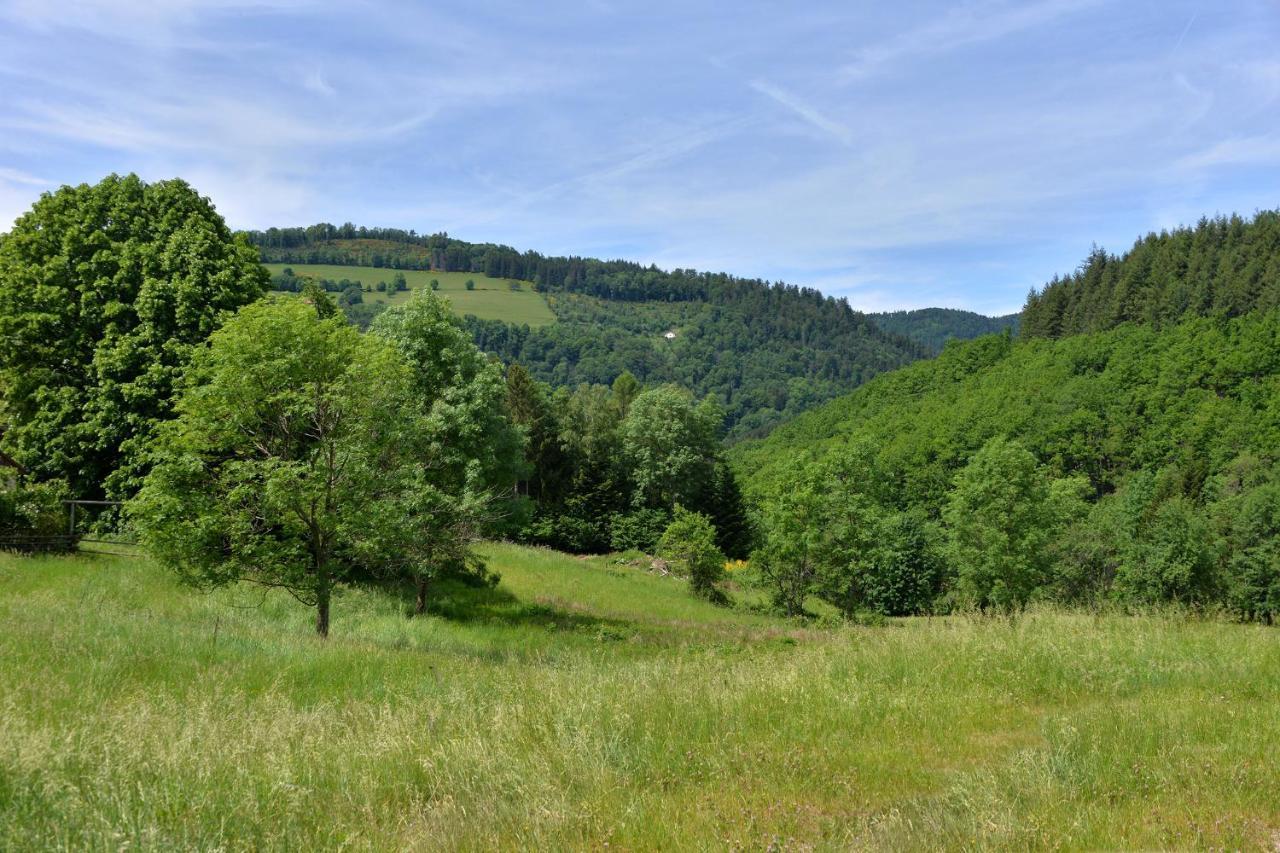 Gite De La Chapelle Des Mineurs Sainte-Marie-aux-Mines Exterior photo